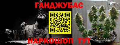крисы Гусев