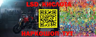 крисы Гусев