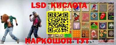 крисы Гусев
